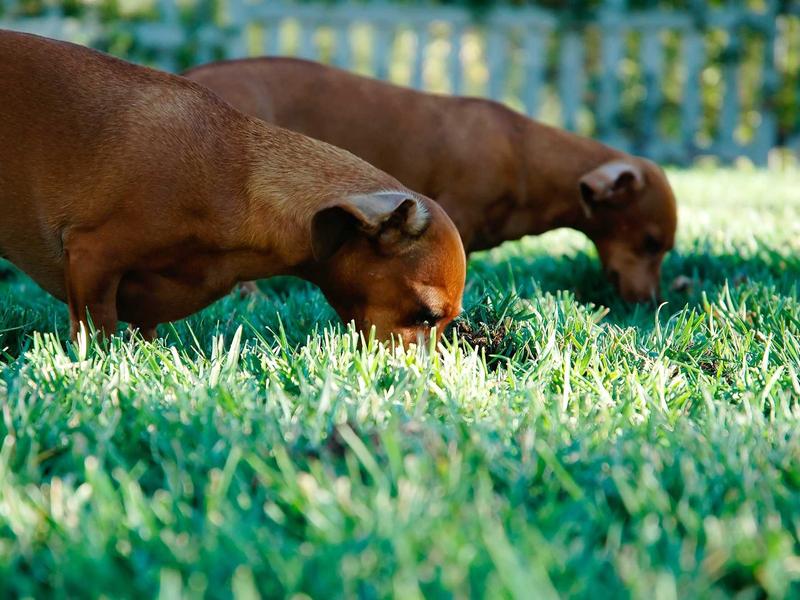 sudoku solving methods